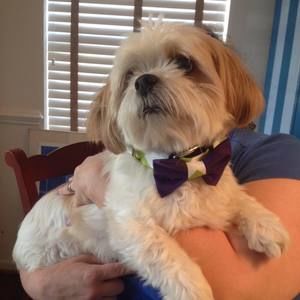 Meet your Posher, Bobby